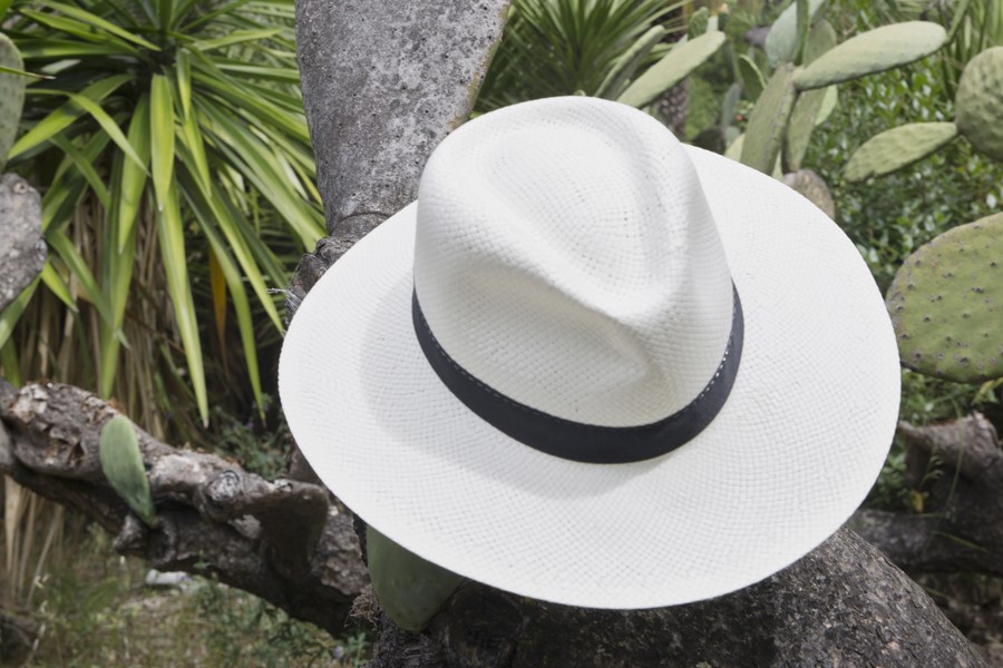 Quel est le prix d&rsquo;un chapeau Panama ?